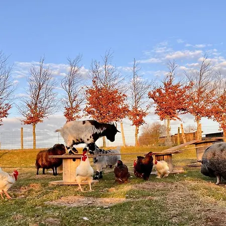 Sejour Detente Avec Balneo - Normandie - Amoureux Et Famille