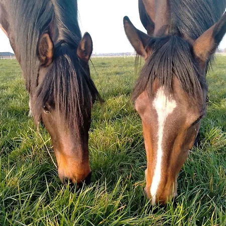 Holiday home Sejour Detente Avec Balneo - Normandie - Amoureux Et Famille