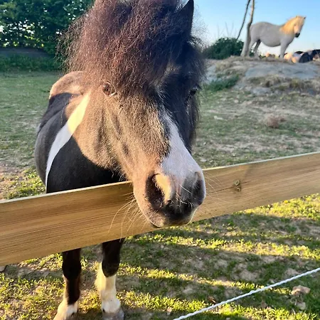 Sejour Detente Avec Balneo - Normandie - Amoureux Et Famille Tatil Evi *