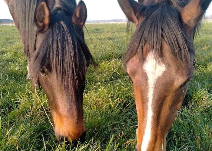 Sejour Detente Avec Balneo - Normandie - Amoureux Et Famille Holiday home Annouville-Vilmesnil
