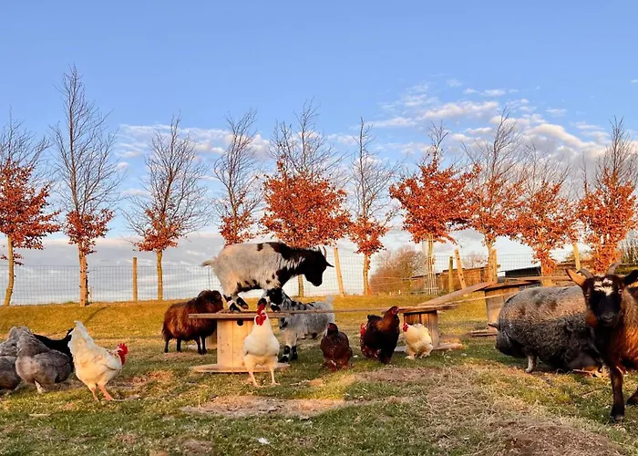 Sejour Detente Avec Balneo - Normandie - Amoureux Et Famille
