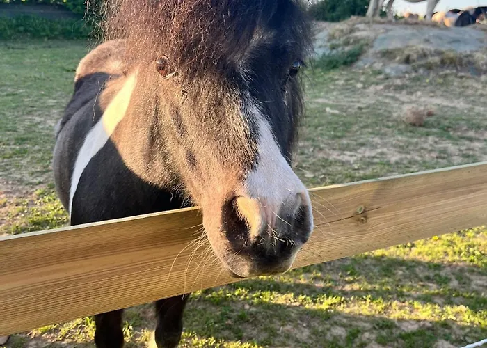 Sejour Detente Avec Balneo - Normandie - Amoureux Et Famille Holiday home *