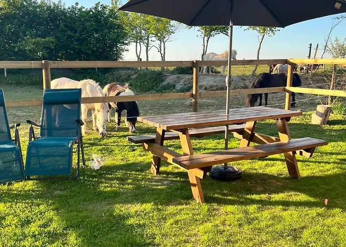 Sejour Detente Avec Balneo - Normandie - Amoureux Et Famille *